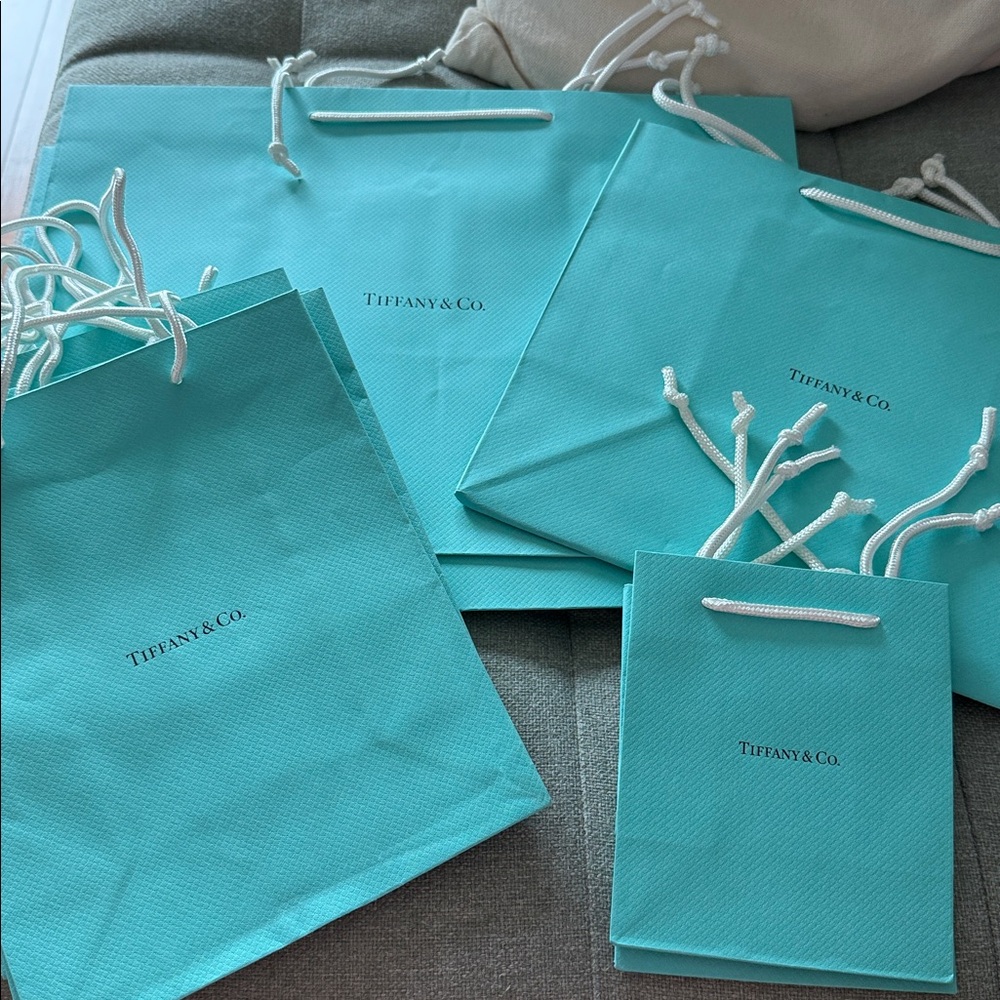 Tiffany & Co. Shopping Bags - XS